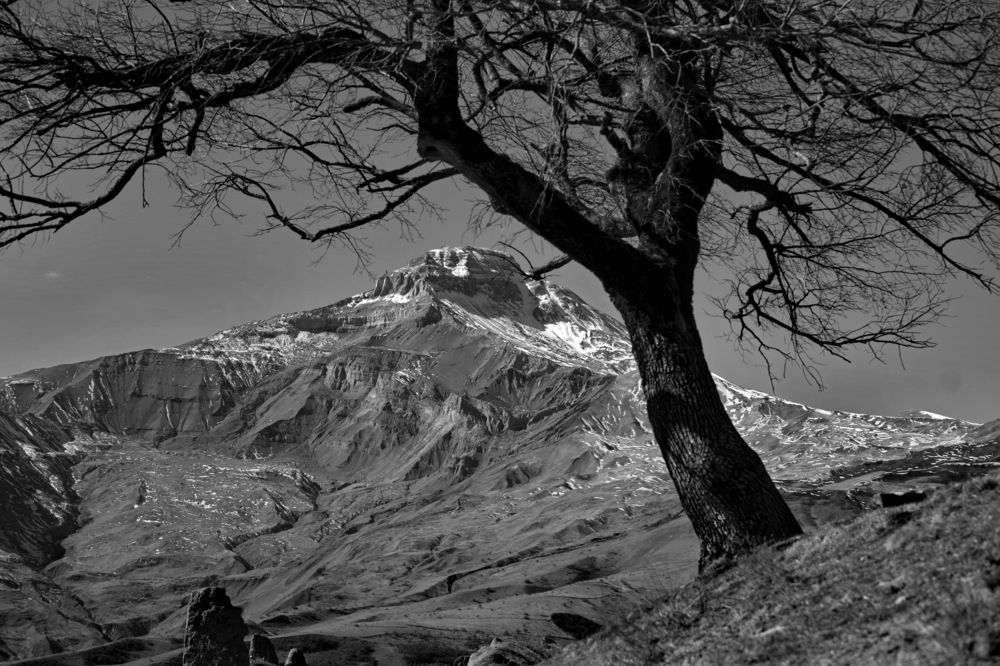 Photograph by Юсиф Саркаров