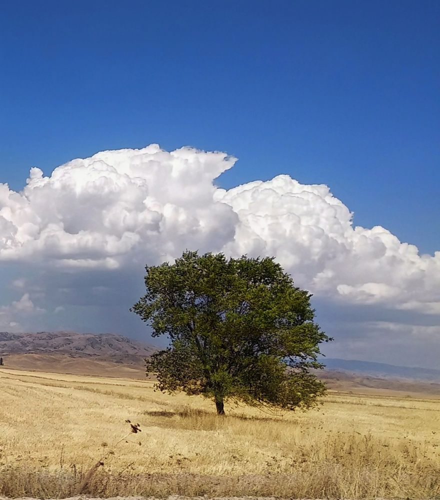 Photograph by Орынбек Асилбаев