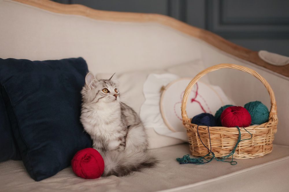 Photograph by Юлия Моисеева