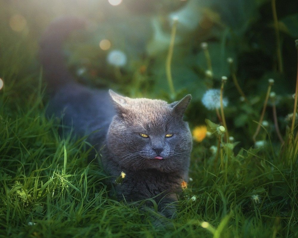 Photograph by Татьяна Максакова