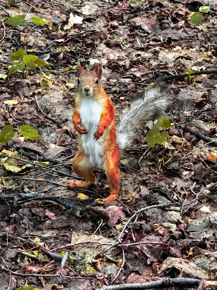 Photograph by Аверьянова Наталья