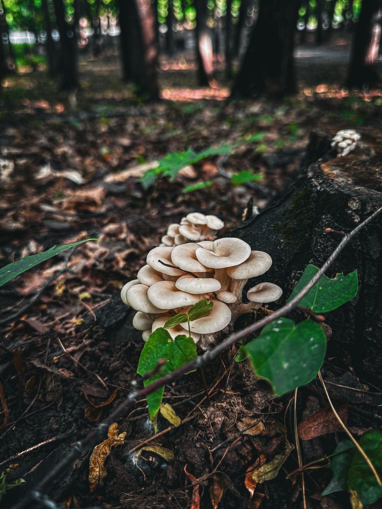 Photograph by Аверьянова Наталья