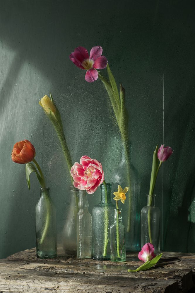 Photograph by Julia Vikhrova