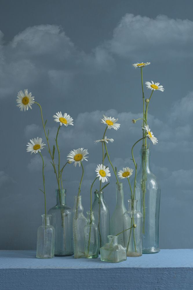 Photograph by Julia Vikhrova