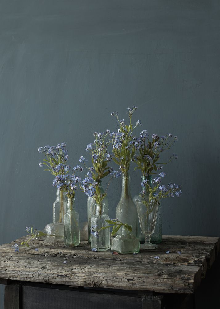 Фотография автора Julia Vikhrova