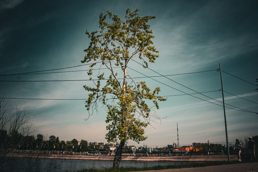 Photograph by Владимир Сушкин