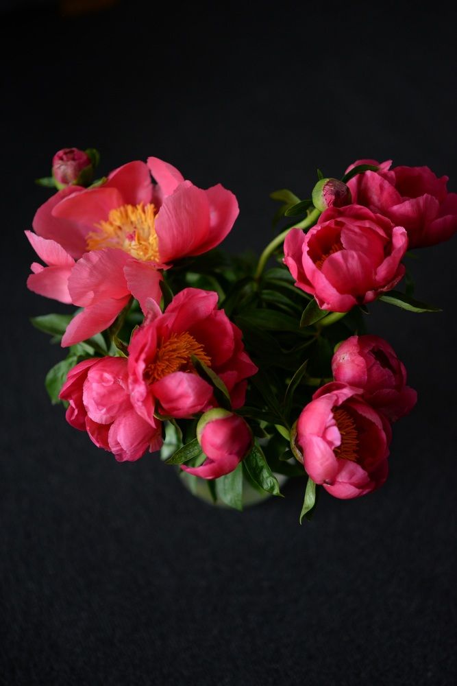 Photograph by Юлия