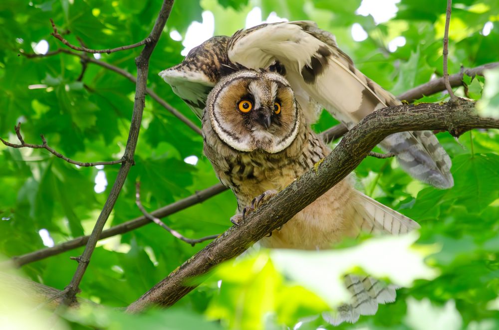 Photograph by Oksana Kuzmina