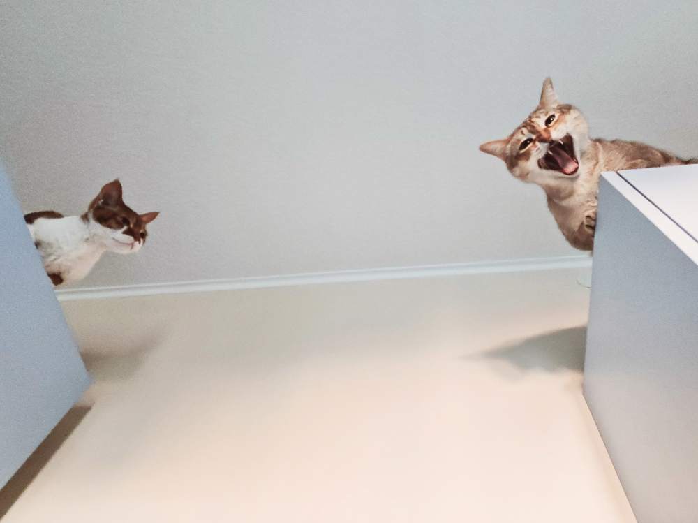 Photograph by Орлова Оксана