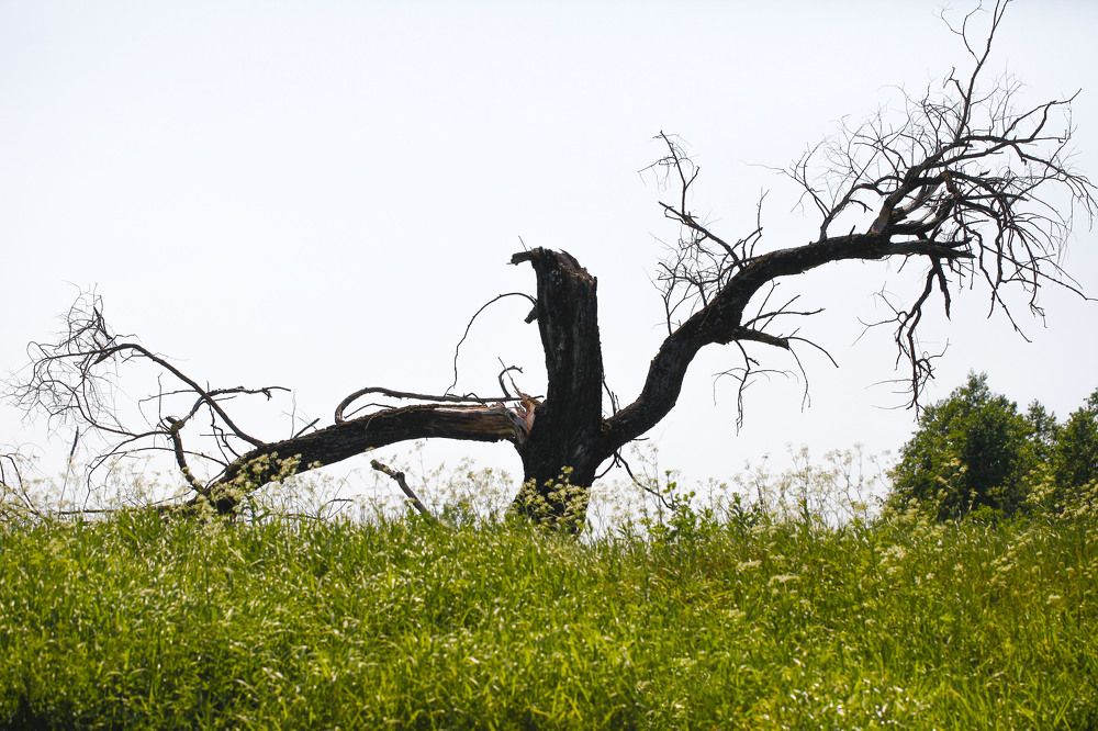Photograph by Александр Ермаченко