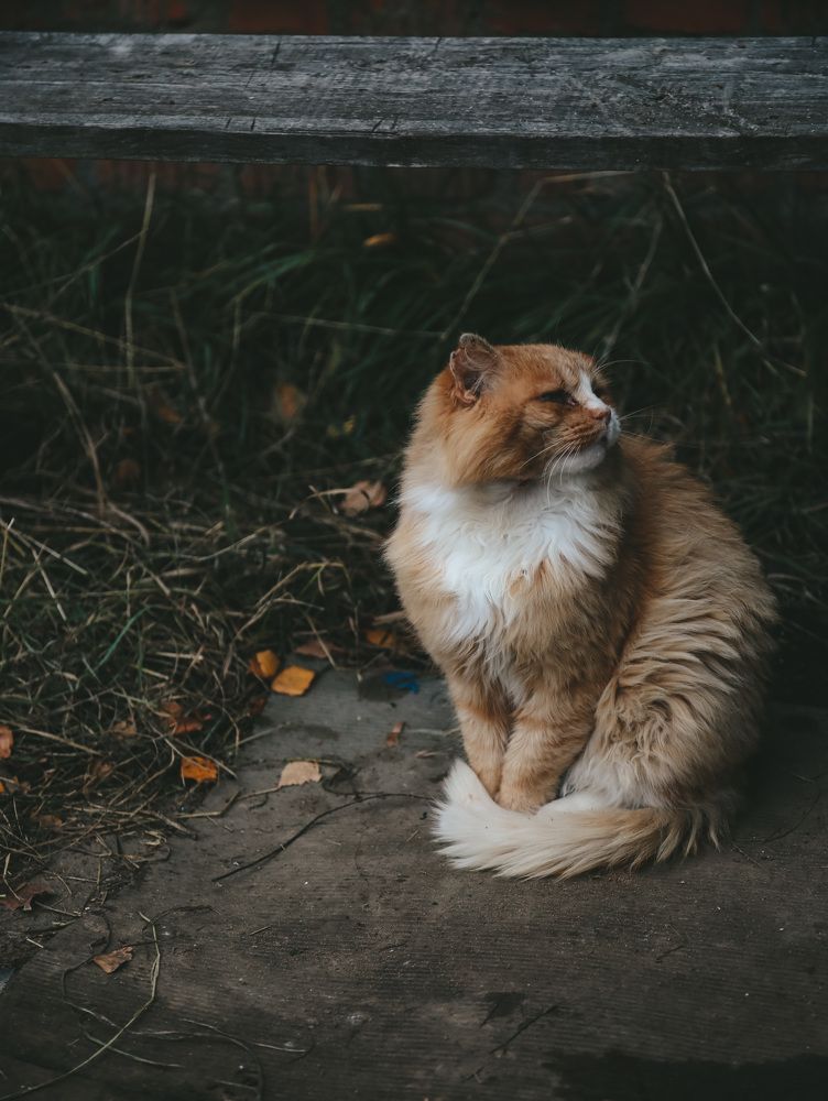 Photograph by Ксения Исаева