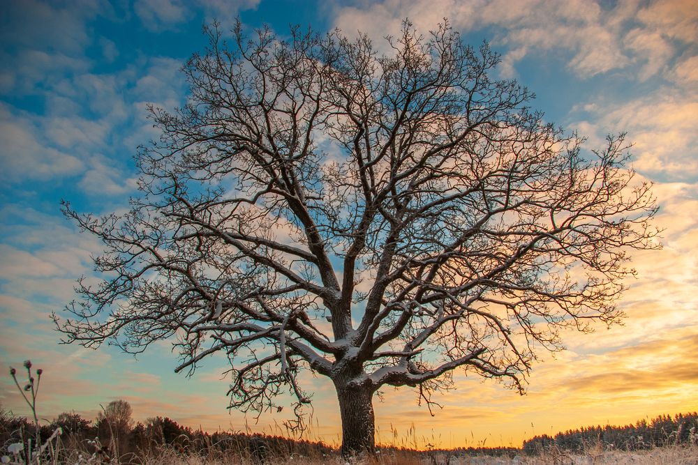 Photograph by Андрей Егоров