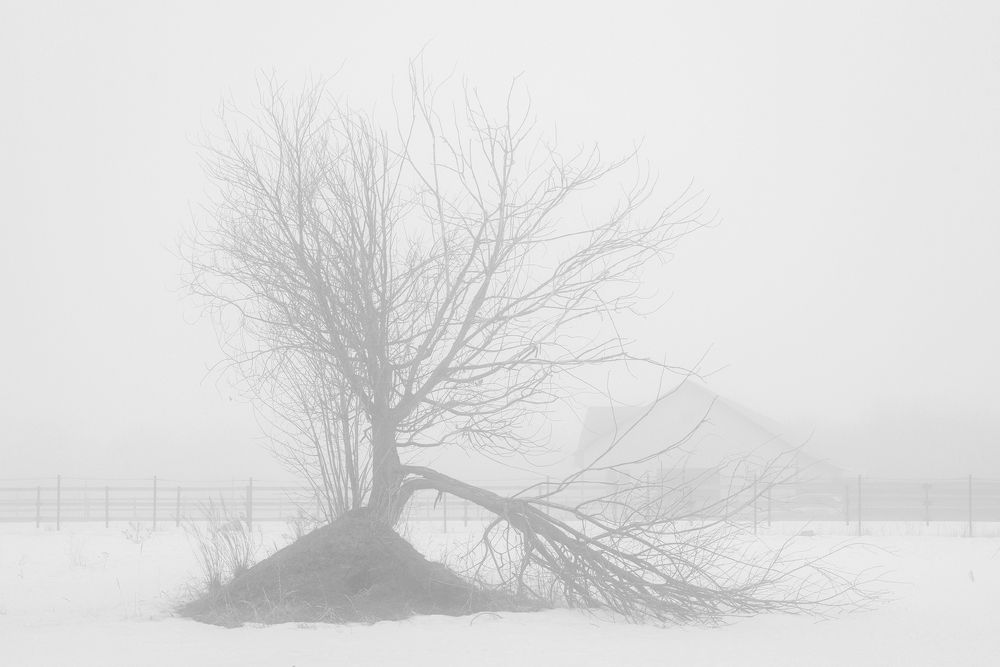 Photograph by Андрей Егоров