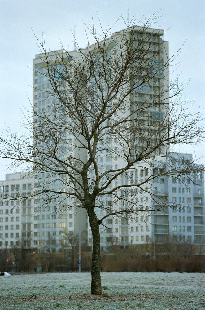 Photograph by Андрей Егоров