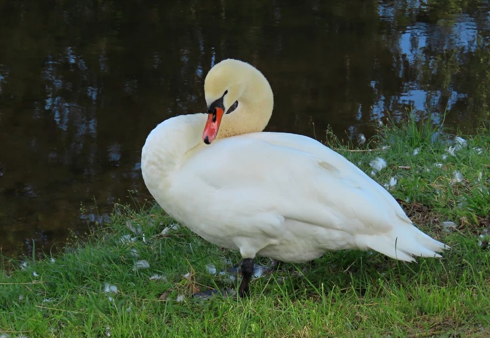 Photograph by Pjotr Alekseev