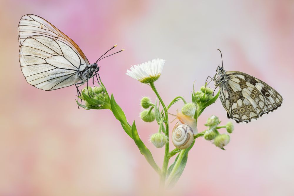 Photograph by Sara Jazbar