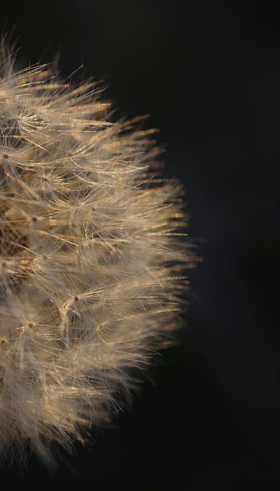 Фотография автора Вера Красюкова