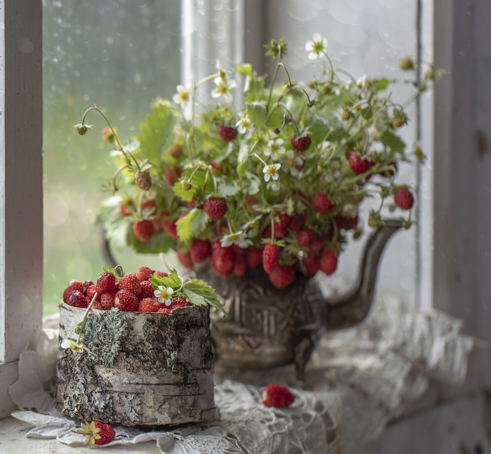 Photograph by Tatyana Fedenkova