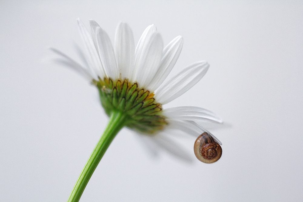 Photograph by Орлова Оксана