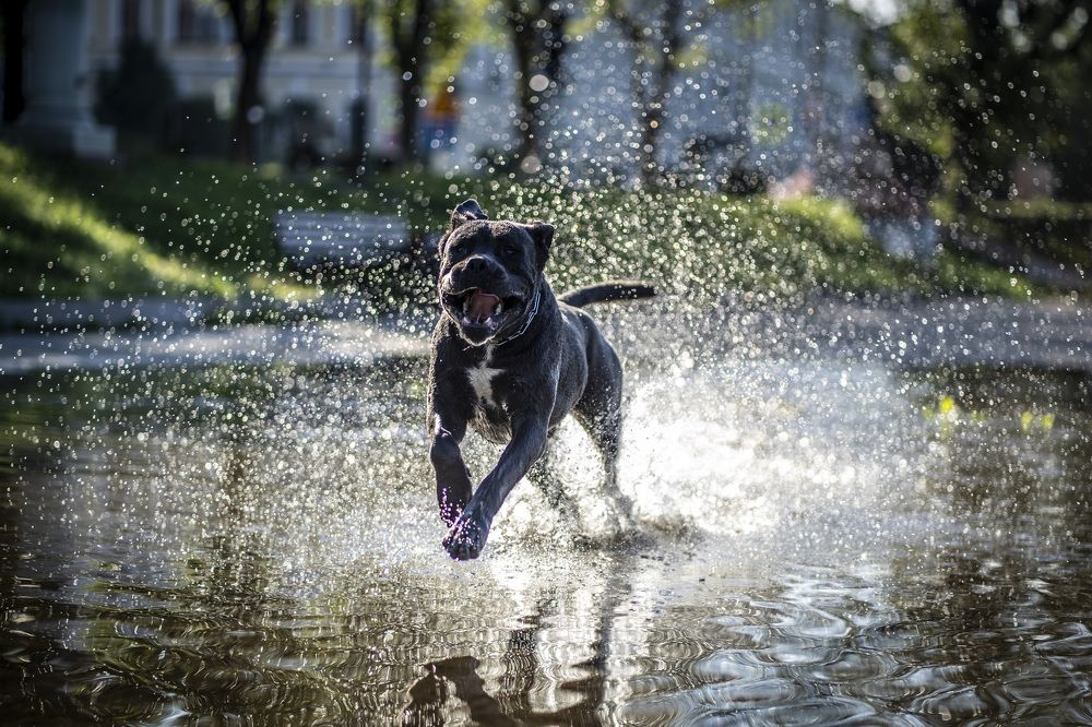Photograph by Nikolay Nikolaev