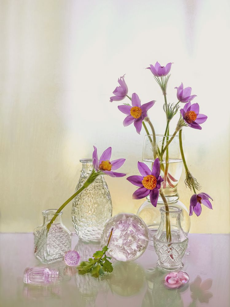 Проснулись... (Сон-трава)