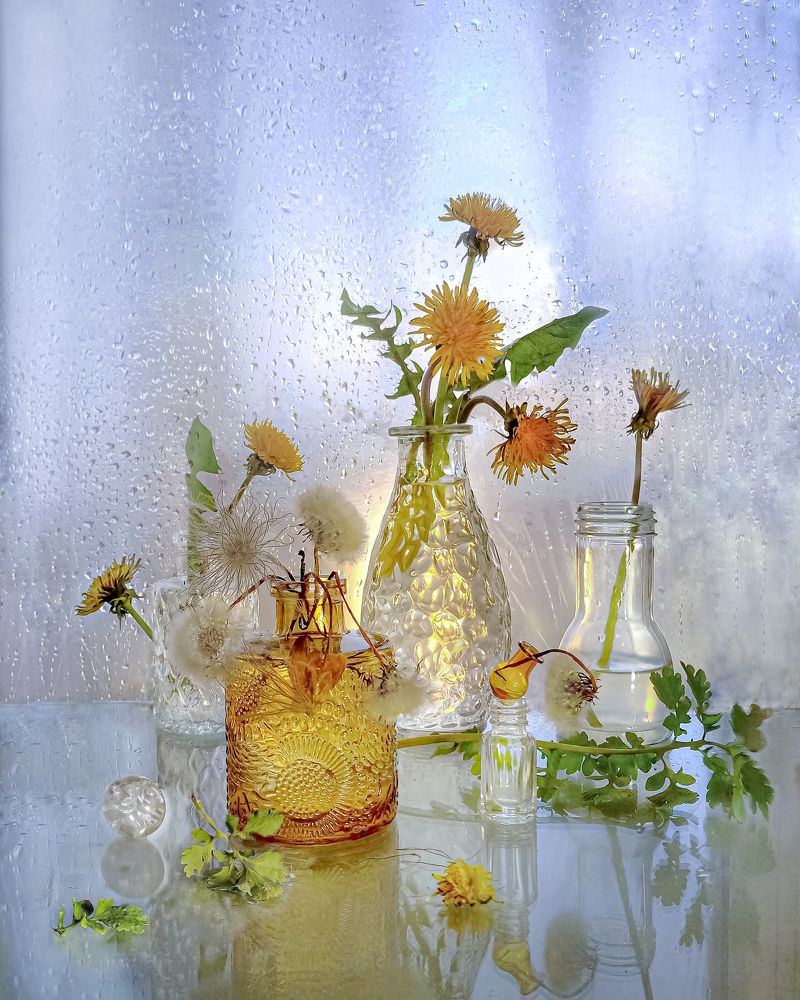 Золото весны...