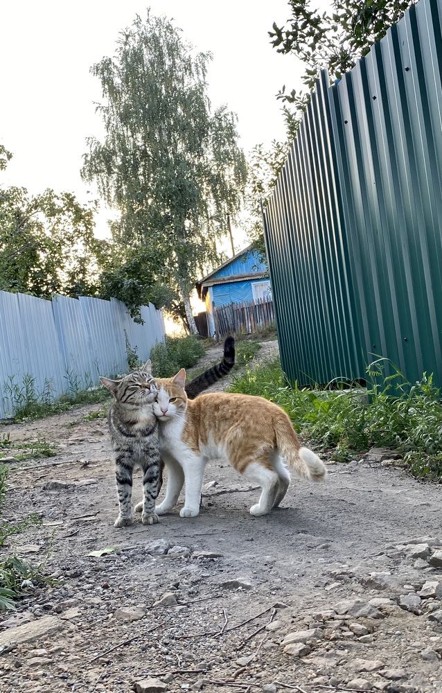 Photograph by Юлия Зель-Жилинская