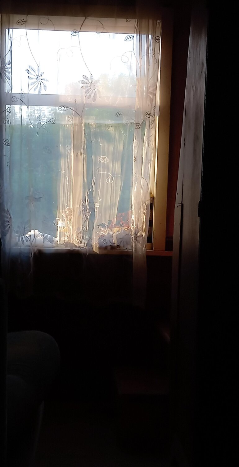 Photo #10724949