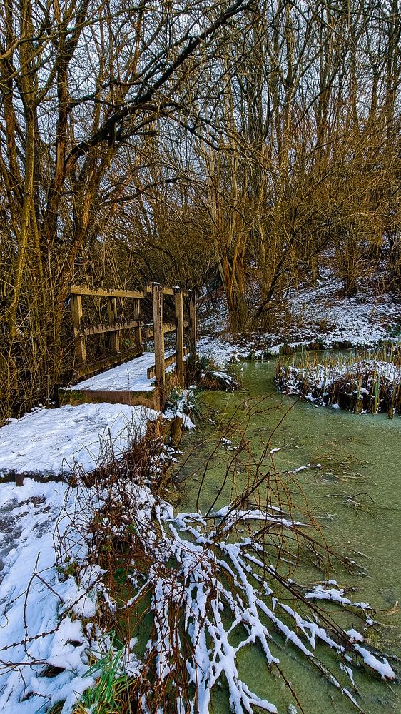 Photograph by lijo james mathew