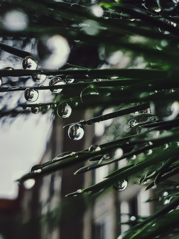 Photograph by Андрей Шелуков