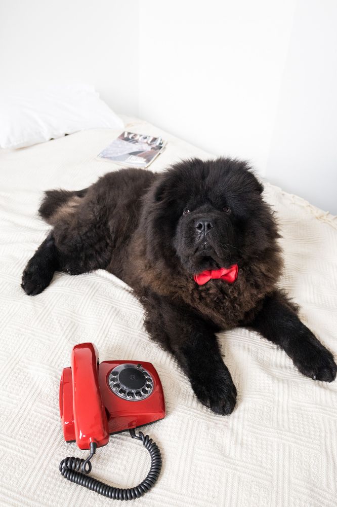 Photograph by Макарова Татьяна