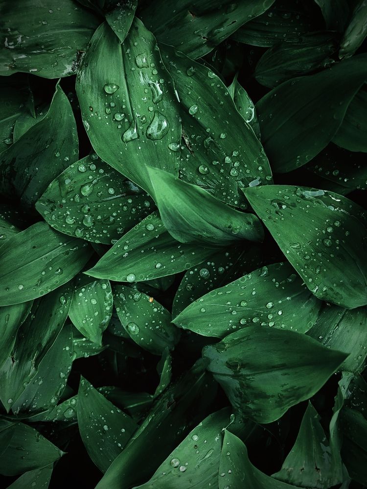 Photograph by Ирина Половцева