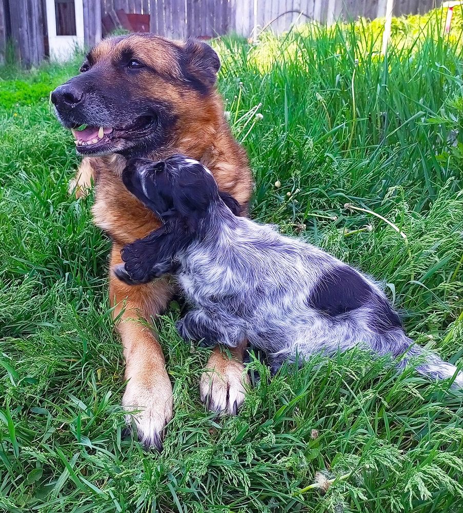 Фотография автора Елена Ермакова