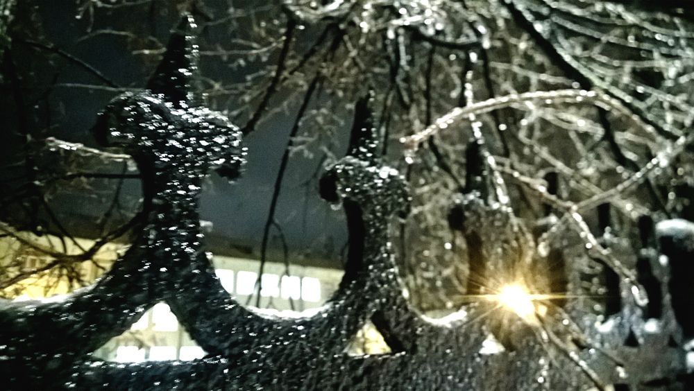 Photograph by Людмила Новосёлова