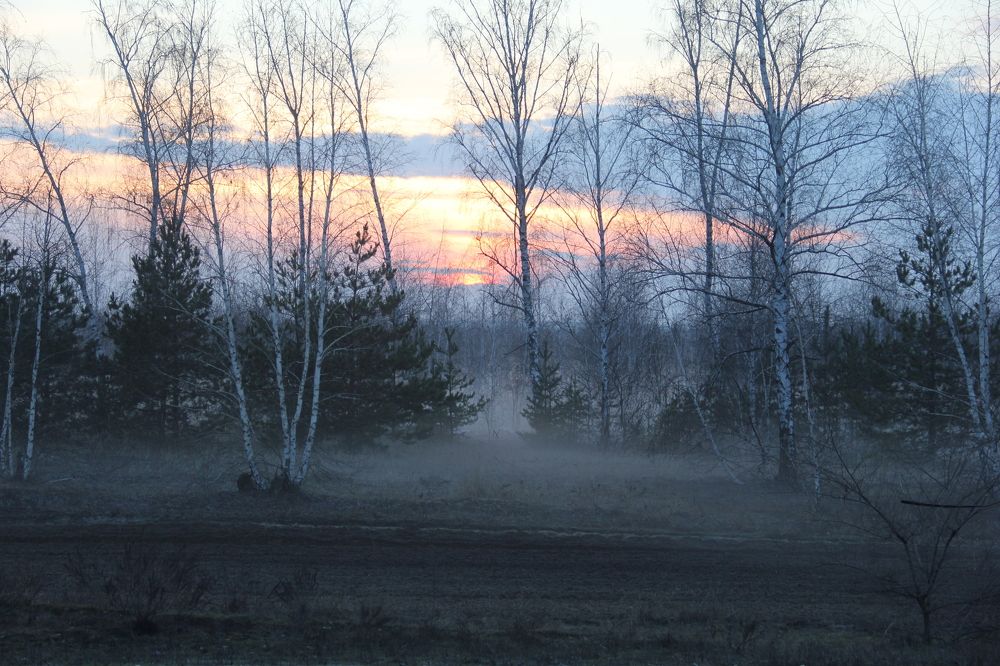 Photograph by Макарова Татьяна