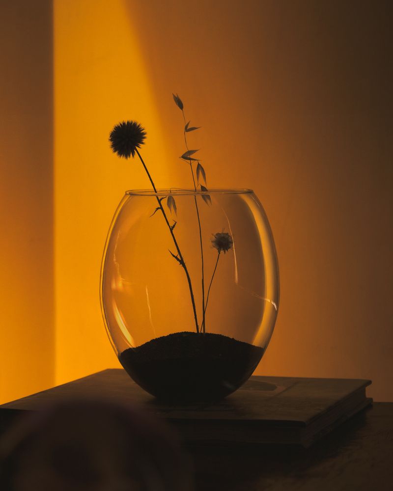 Photograph by Iman Hafez khan