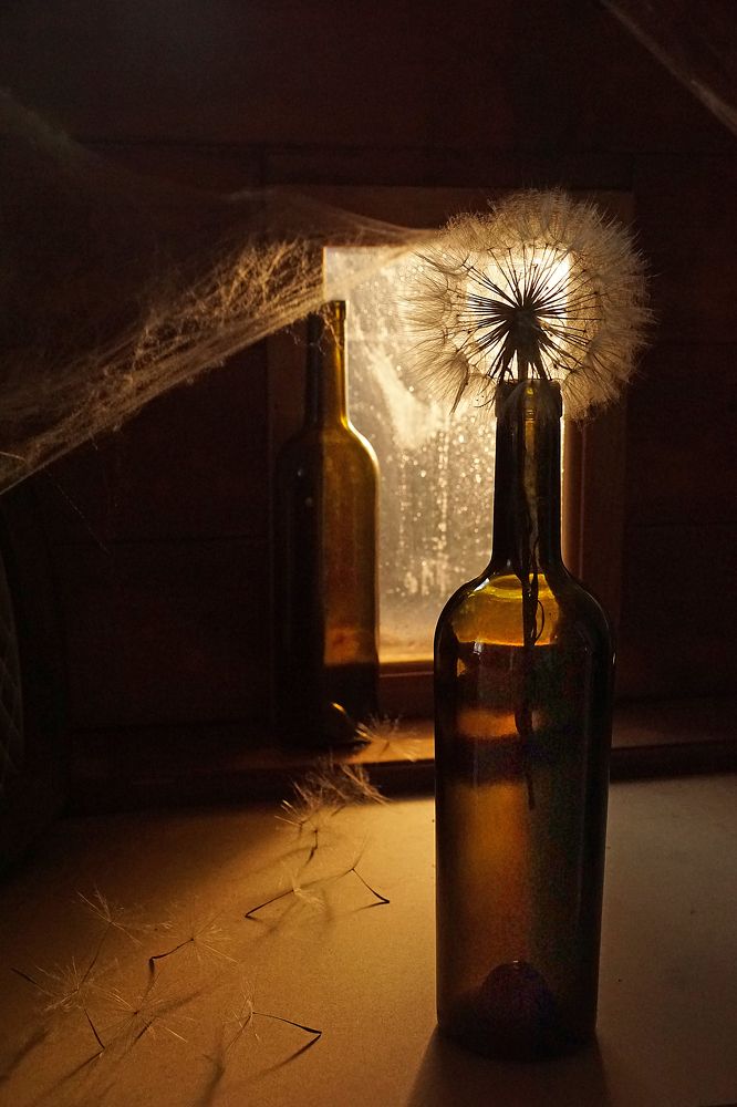 Photograph by Ольга Пуховникова