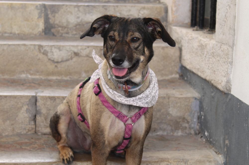 Photograph by Francisco Ferreira