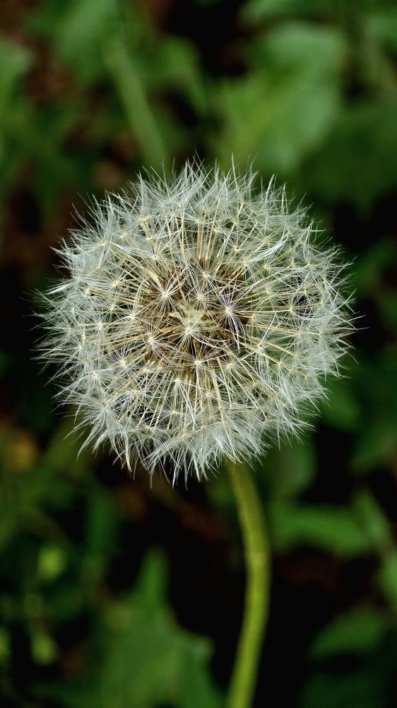 Photograph by Семёновых Александр