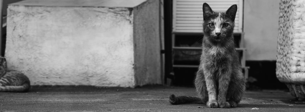 Photograph by Андрей Шелуков