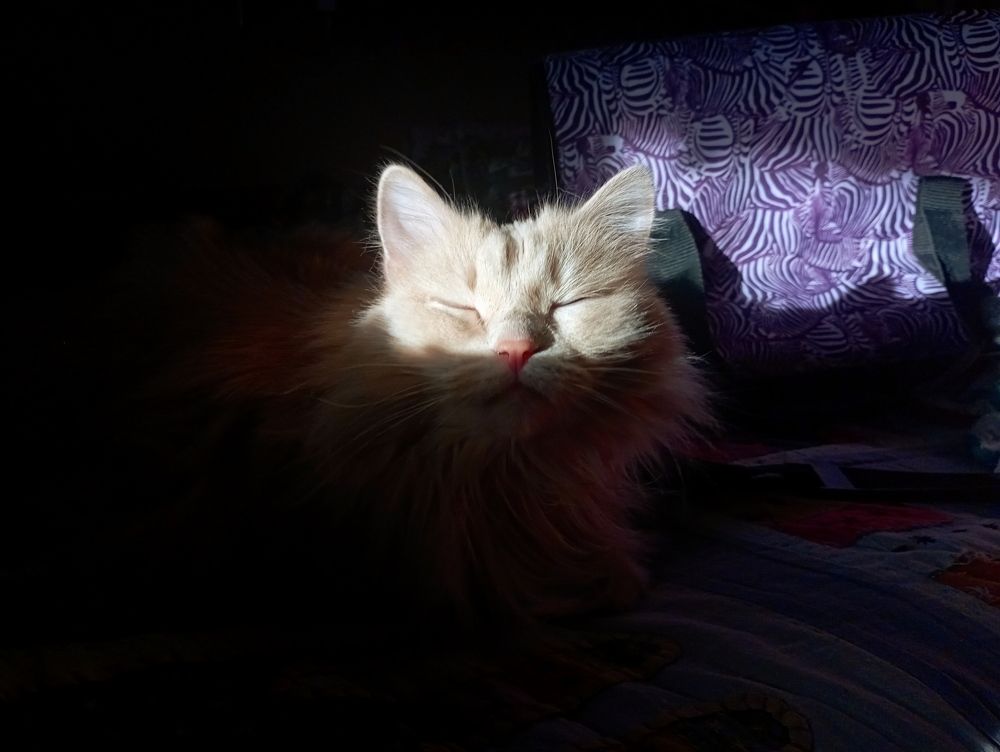 Photograph by Анастасия Кичигина