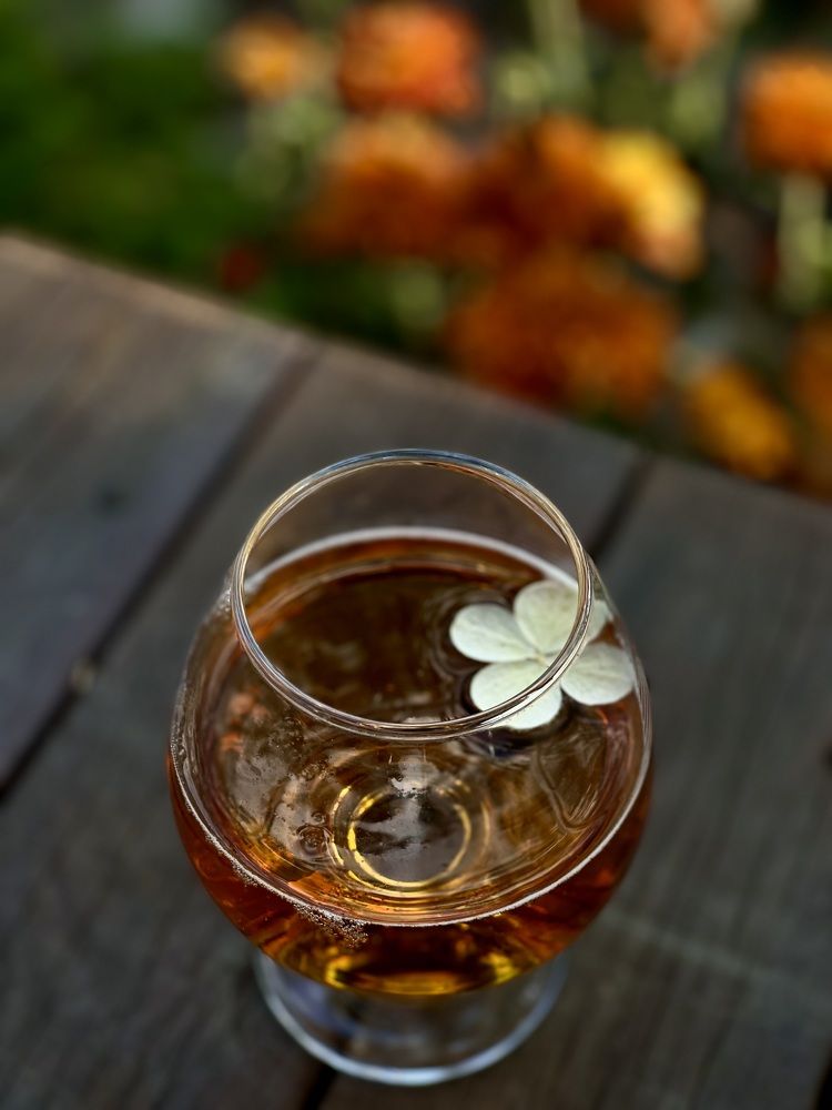 Фотография автора Елена Меньшикова