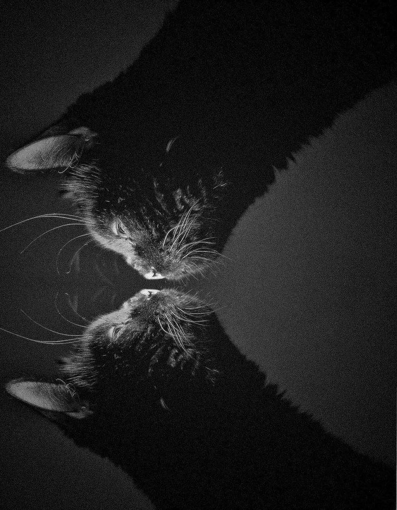 Photograph by Ильин Максим