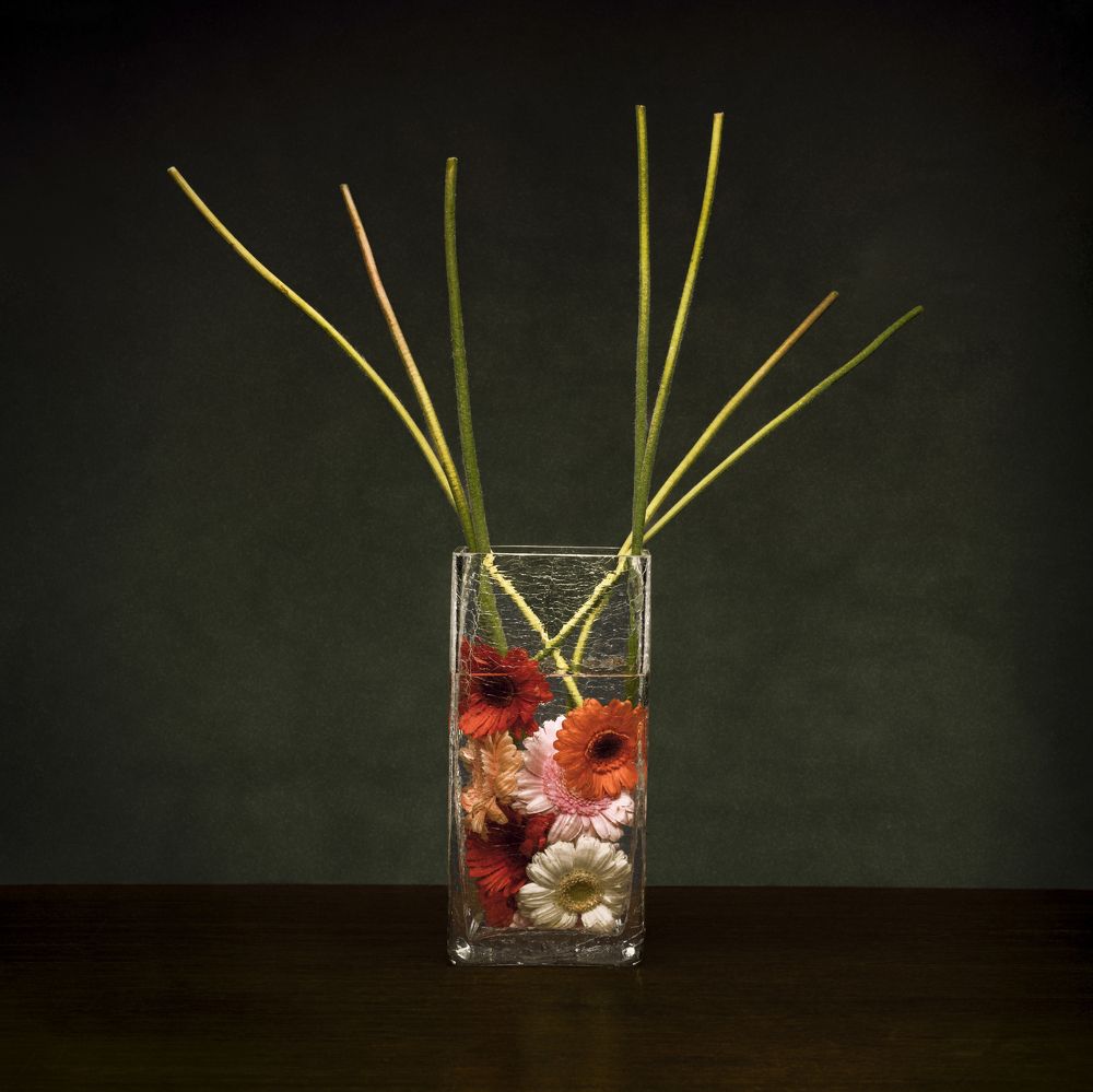 Photograph by Dominique Agius