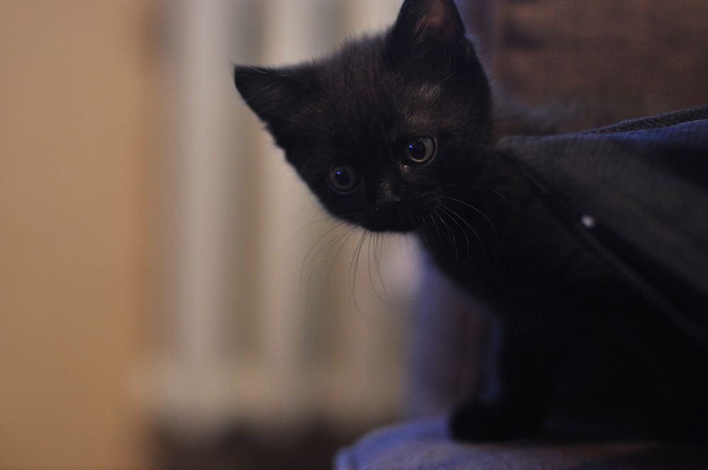 Photograph by Ильин Максим