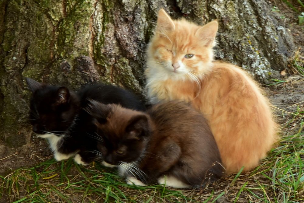 Photograph by Dimon Grinih