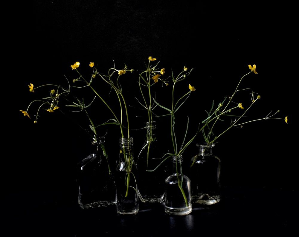 Photograph by Шабышева Антонина Михайловна