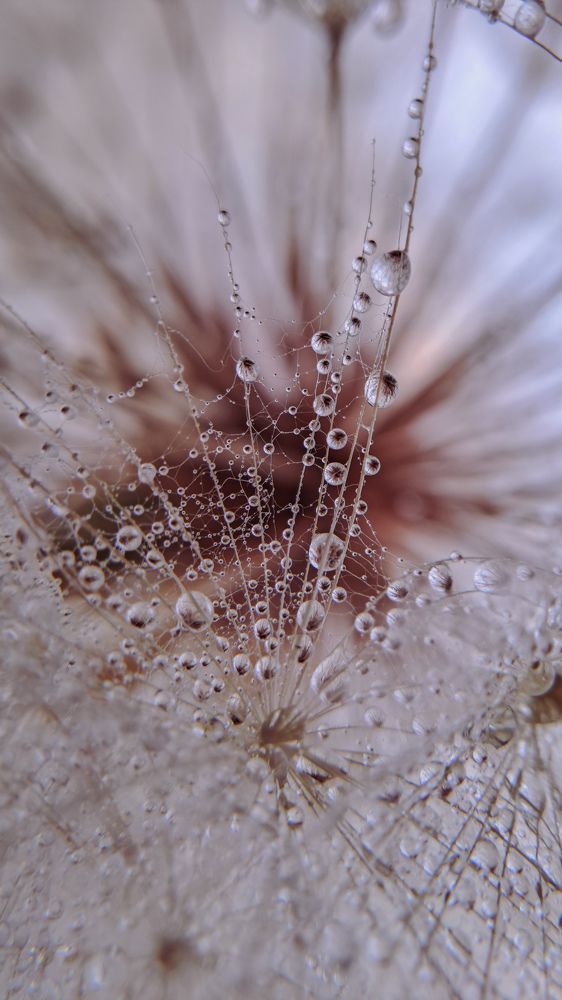 Photo #10725268