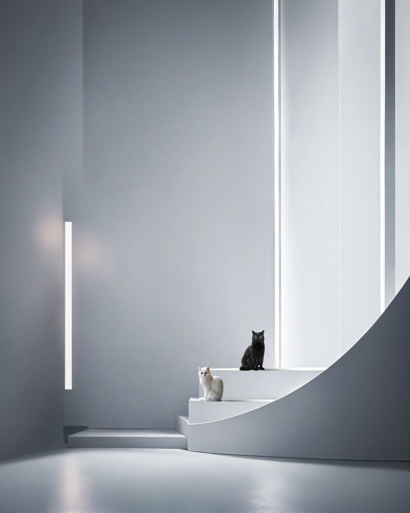 Photograph by Iman Hafez khan