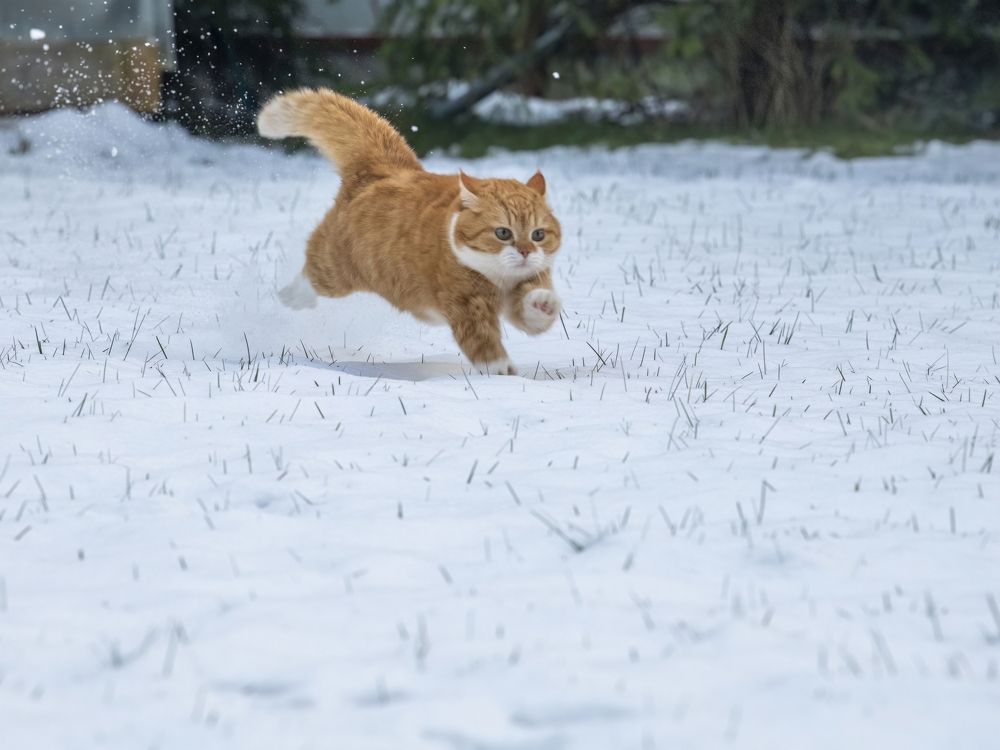 Photograph by Пупонин Сергей